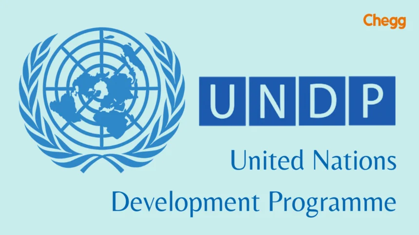 Get an Internship at UNDP in 2024 Simple Steps to Follow