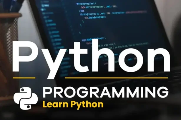 Top Free Python Courses for Beginners This Diwali 2024