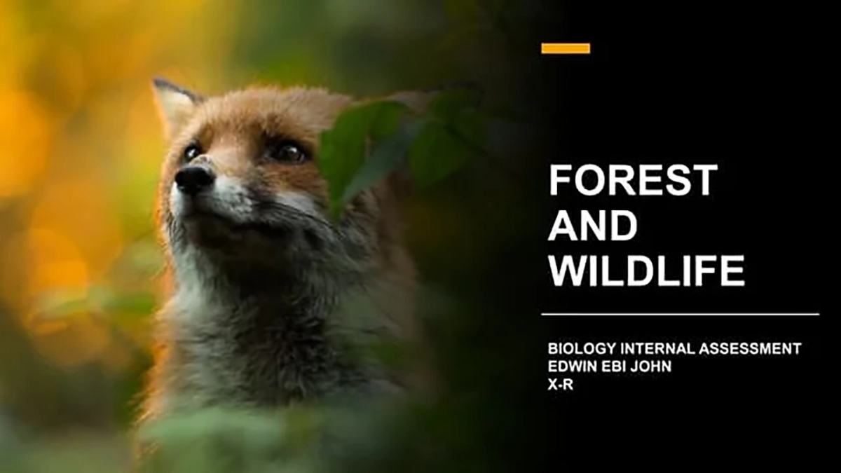 Govt of India: Forest and Wildlife Internship Free Certificate